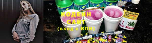 хмурый Белокуриха
