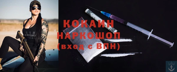 хмурый Белокуриха