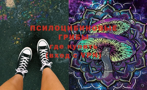 мяу мяу мука Снежногорск