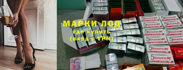 хмурый Белокуриха