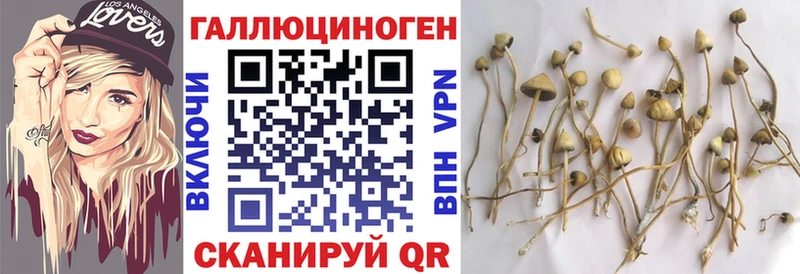 Галлюциногенные грибы MAGIC MUSHROOMS  Курильск 